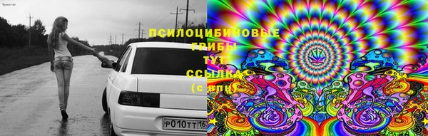2c-b Вязники