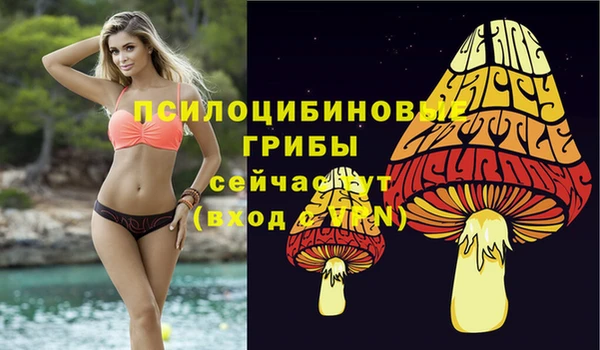 2c-b Вязники