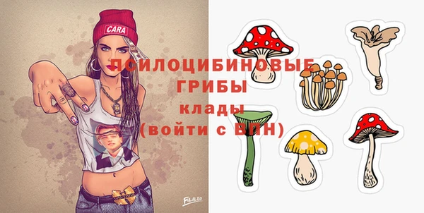 герыч Вяземский
