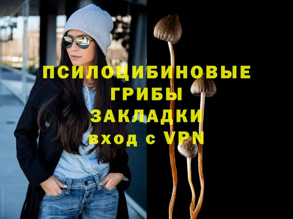 герыч Вяземский