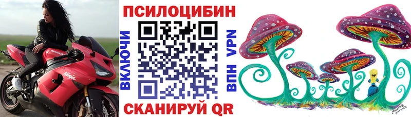 hydra как зайти  Рязань  Галлюциногенные грибы GOLDEN TEACHER 